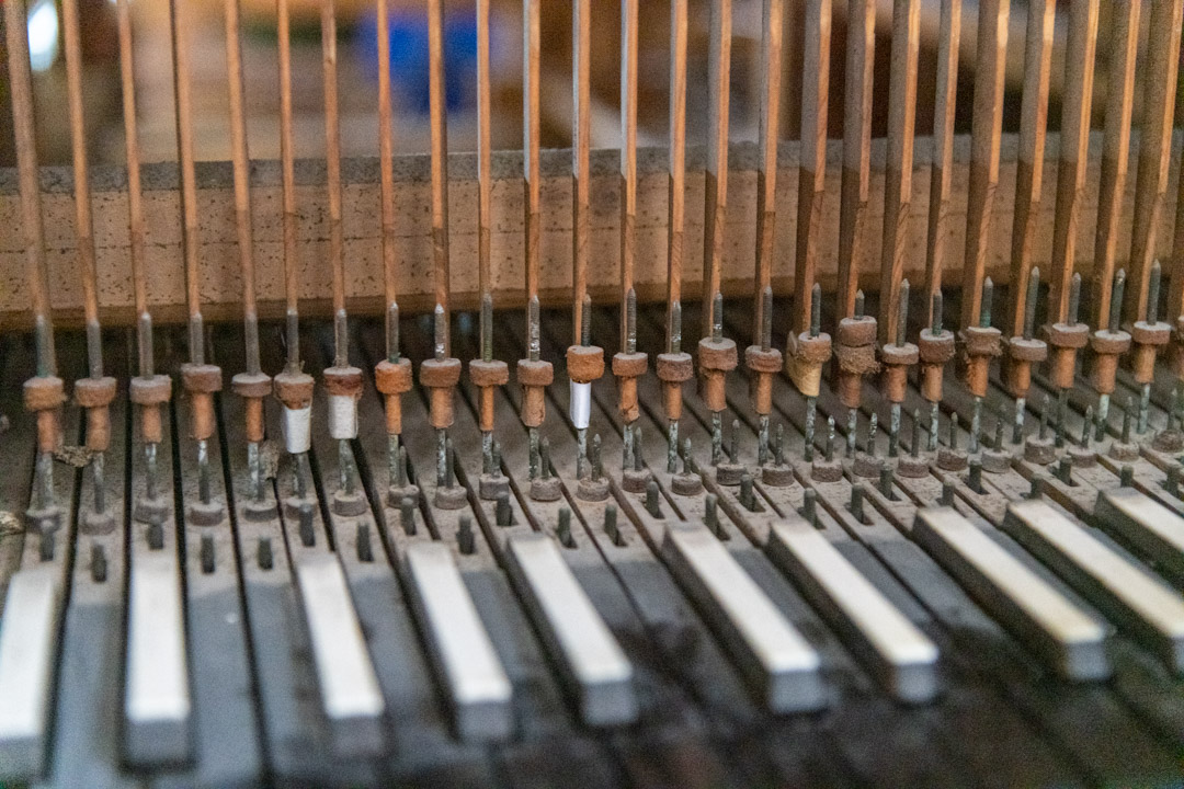 Restaurierung der Schulze-Orgel 